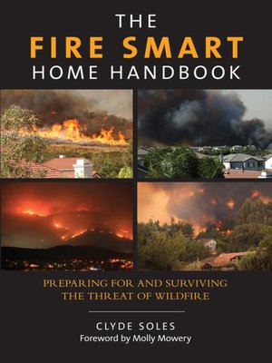 The Fire Smart Home Handbook - ebook